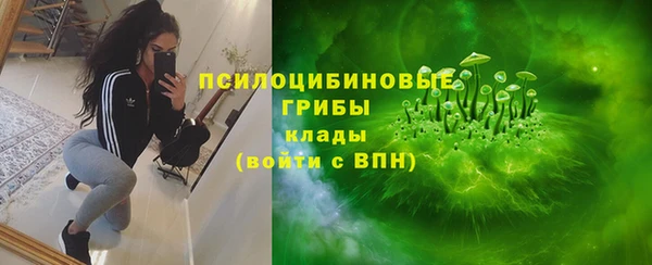 Альфа ПВП Аркадак